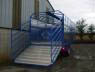 Cattle Trailer